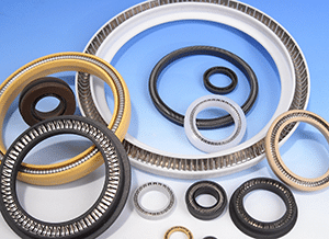 Spring energized seals
